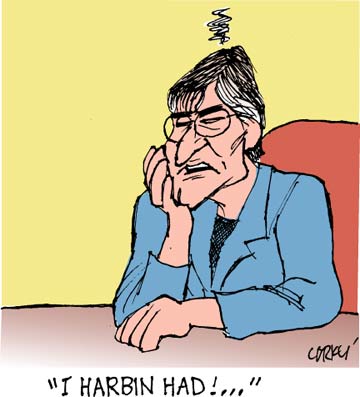 Corky's Hawaii cartoon