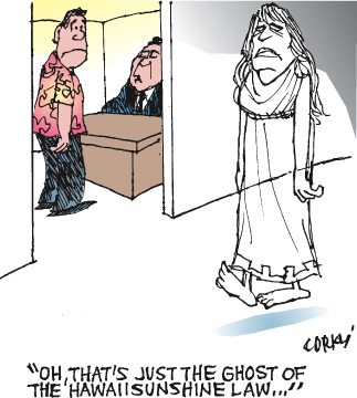 Corky's Hawaii cartoon