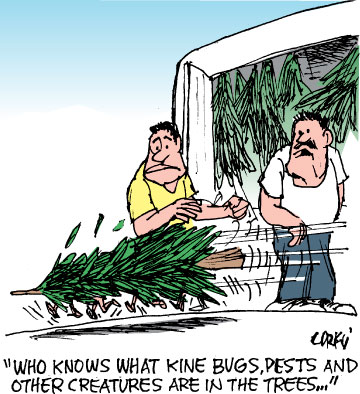 Corky's Hawaii cartoon
