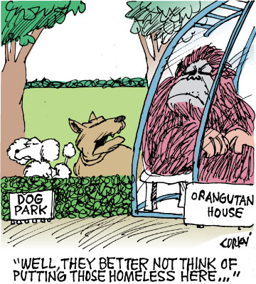 Corky's Hawaii cartoon
