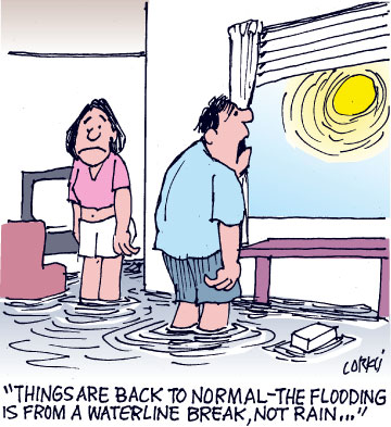 Corky's Hawaii cartoon