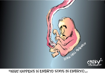 Corky's Editorial cartoon