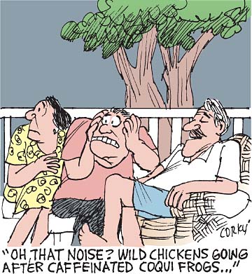 Corky's Hawaii cartoon