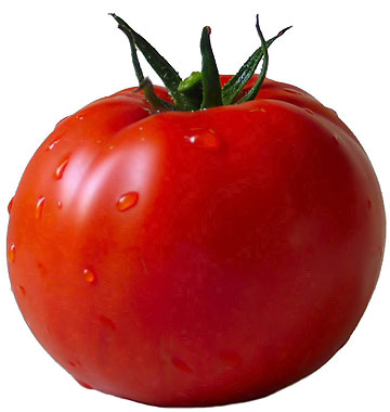 tomato art