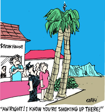 Corky's Hawaii cartoon