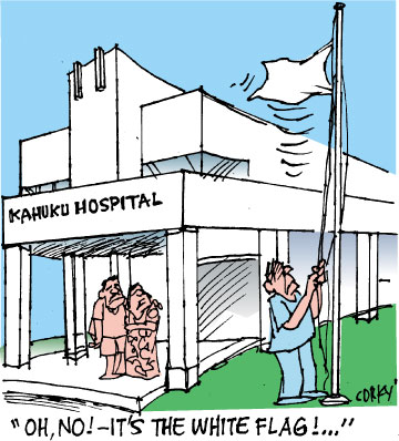 Corky's Hawaii cartoon