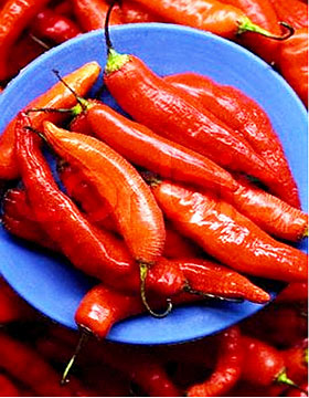 chili red art