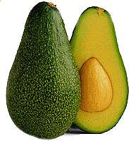 avocado art