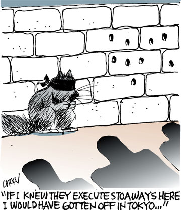 Corky's Hawaii cartoon