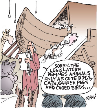 Corky's Hawaii cartoon