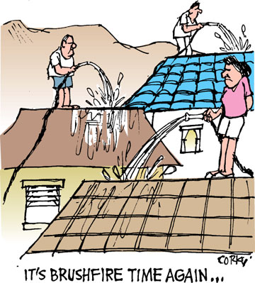 Corky's Hawaii cartoon