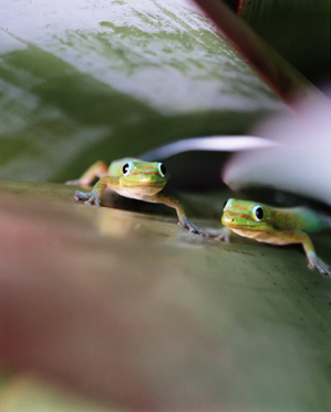 art