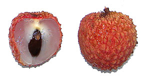 Lychee