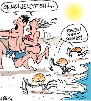 Corky's Hawaii cartoon