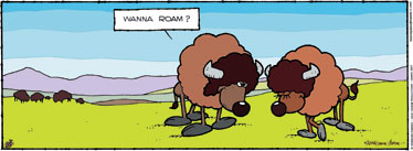 [DAVE THORNE'S SUNDAY COMIC]