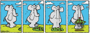[DAVE THORNE'S SUNDAY COMIC]