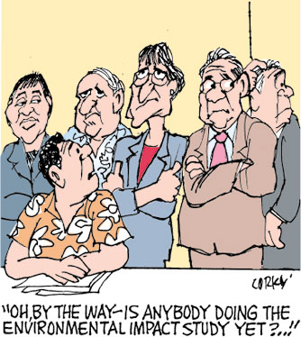 Corky's Hawaii cartoon