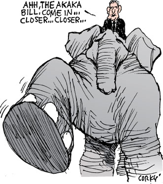 Corky's Hawaii cartoon