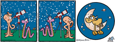 [DAVE THORNE'S SUNDAY COMIC]