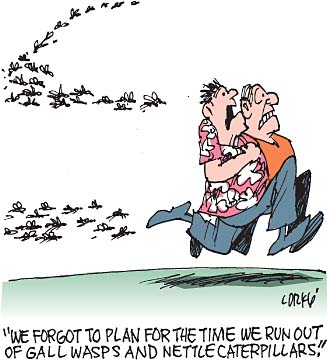 Corky's Hawaii cartoon
