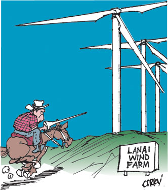 Corky's Hawaii cartoon