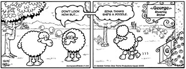 [DAVE THORNE'S SUNDAY COMIC]